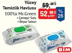 MR. GREEN YÜZEY TEMİZLİK HAVLUSU 100'LÜ